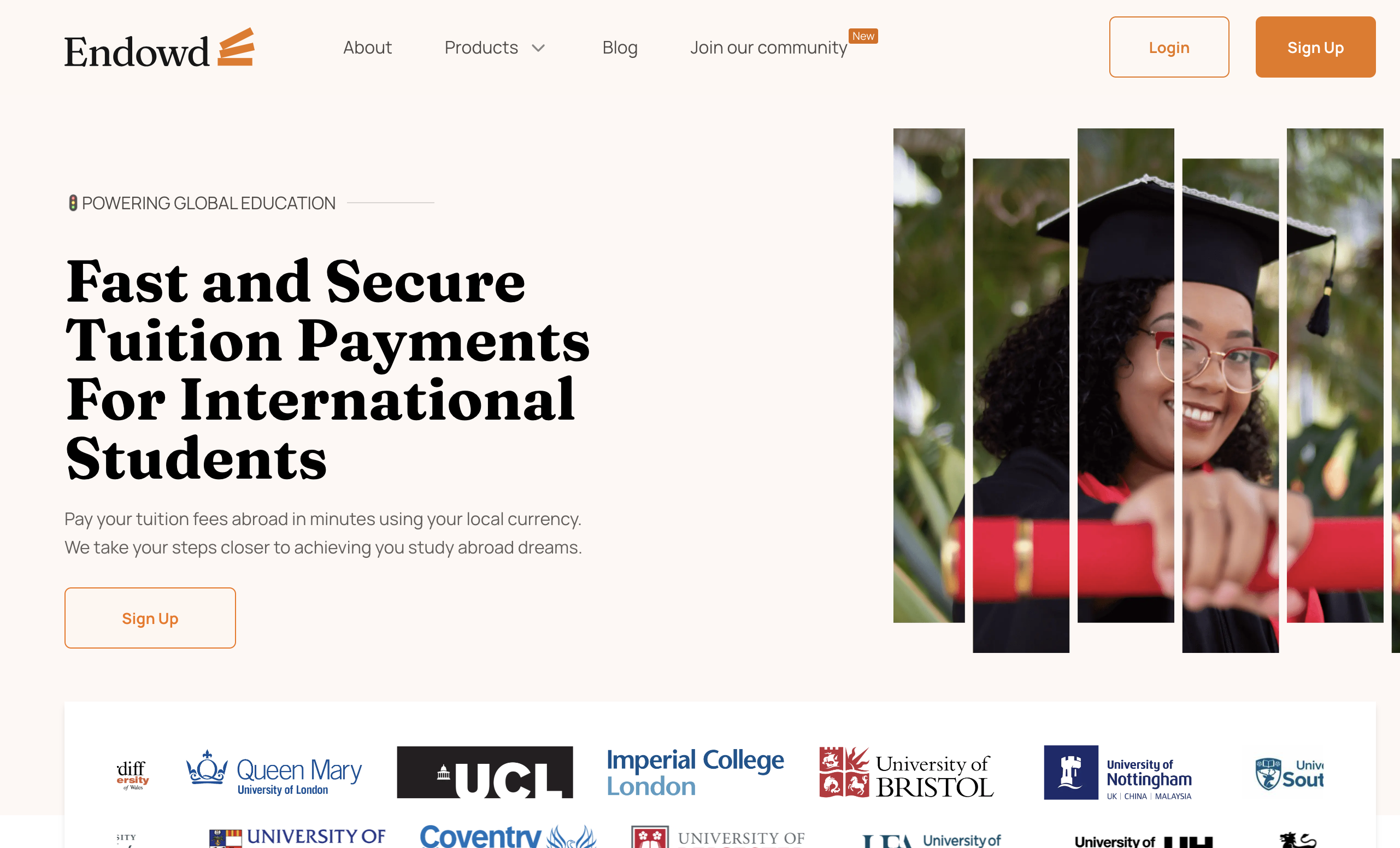 Endowd Africa Website Preview